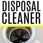 diy garbage disposal cleaner