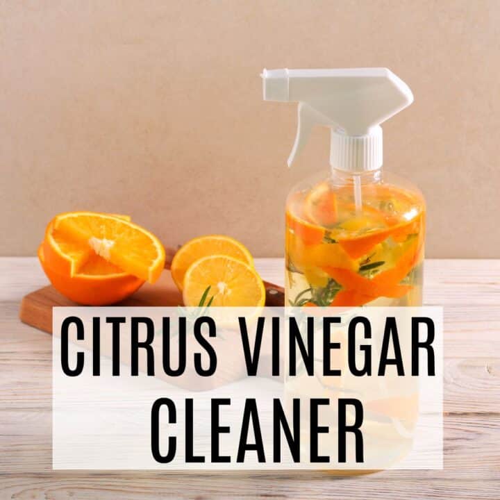 citrus fruit and vinegar in a spray bottle