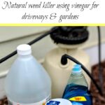 DIY Weed Killer