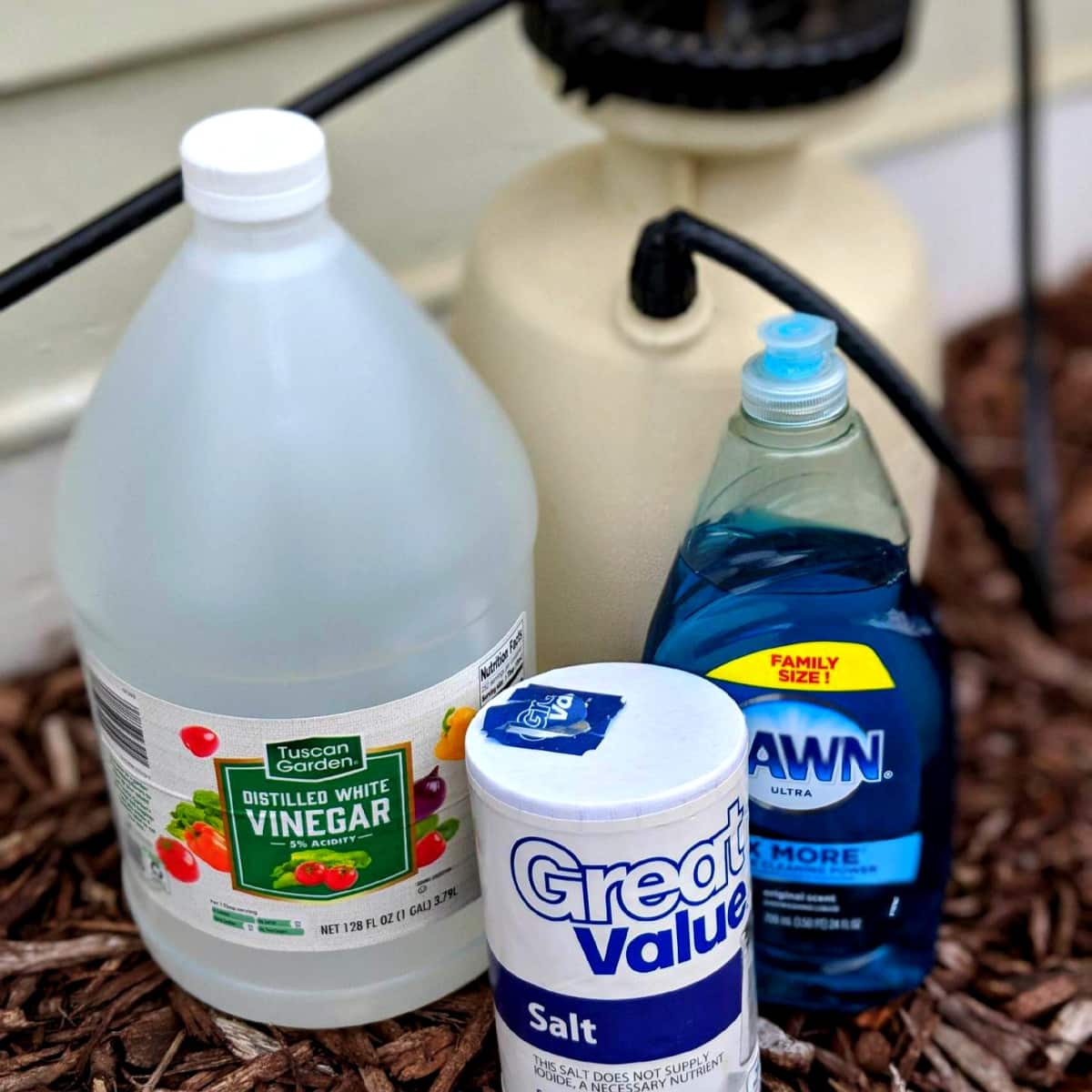 Cheap & Easy DIY Weed Killer - Frugally Blonde