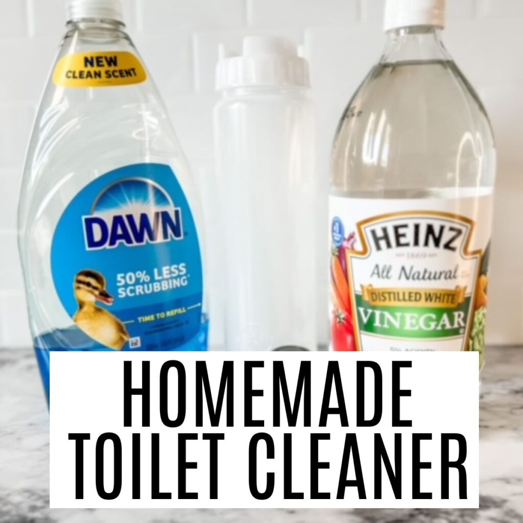 homemade toilet cleaner