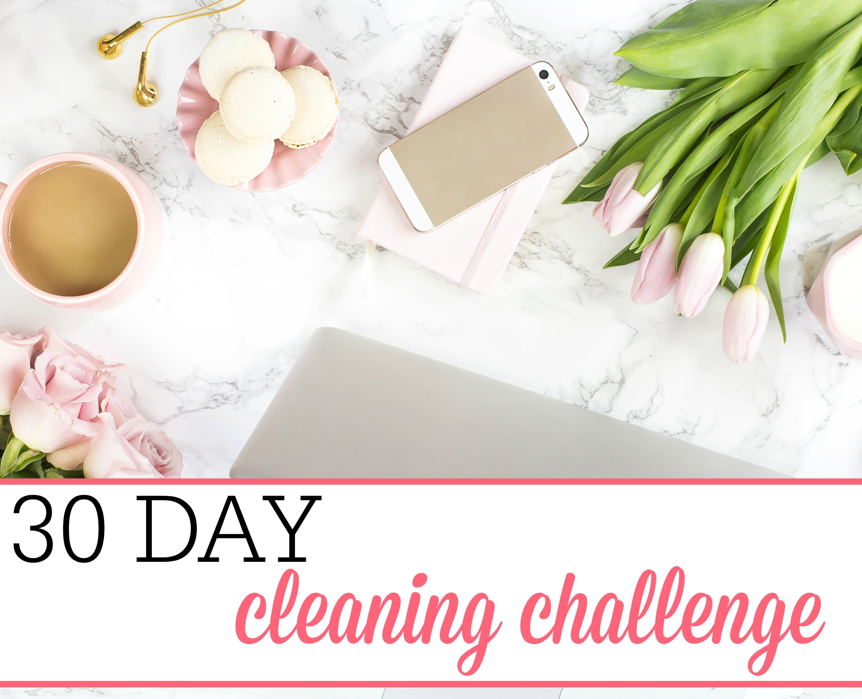 30 Day Cleaning Challenge