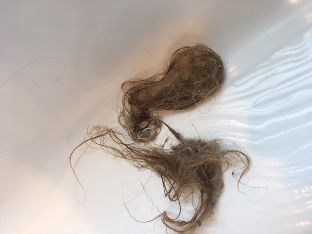 clumps of hair that was pulled out of the drain.