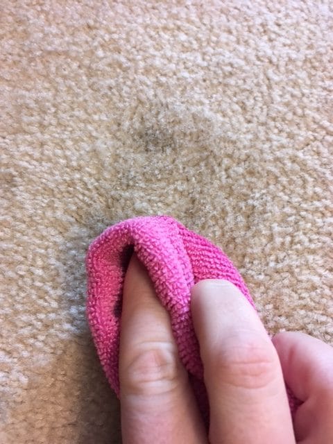 Blotting the carpet stain with a cloth using the homemade cleaner.