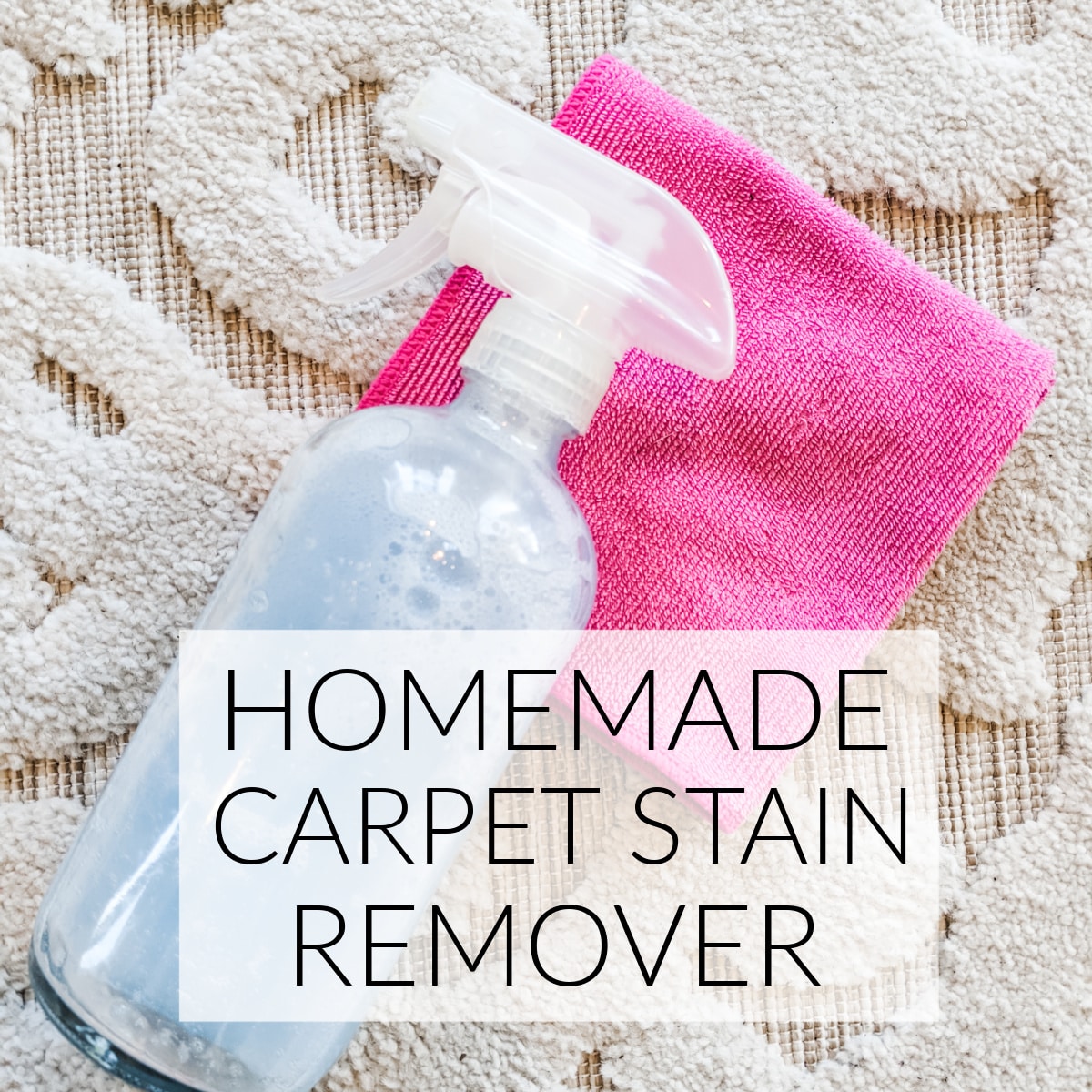 Diy Clean Carpet Stains