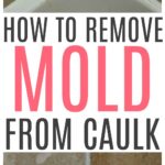 remove mold from shower caulk