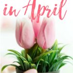 things to buy in april