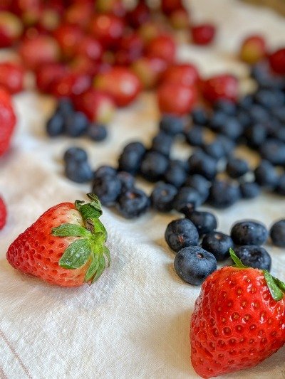 fruit drying