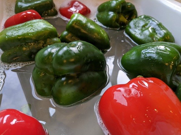 cleaning peppers in bleach solution