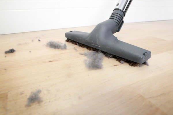 keep moths away by dusting and vacuuming