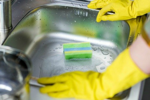 germy sponge in sink