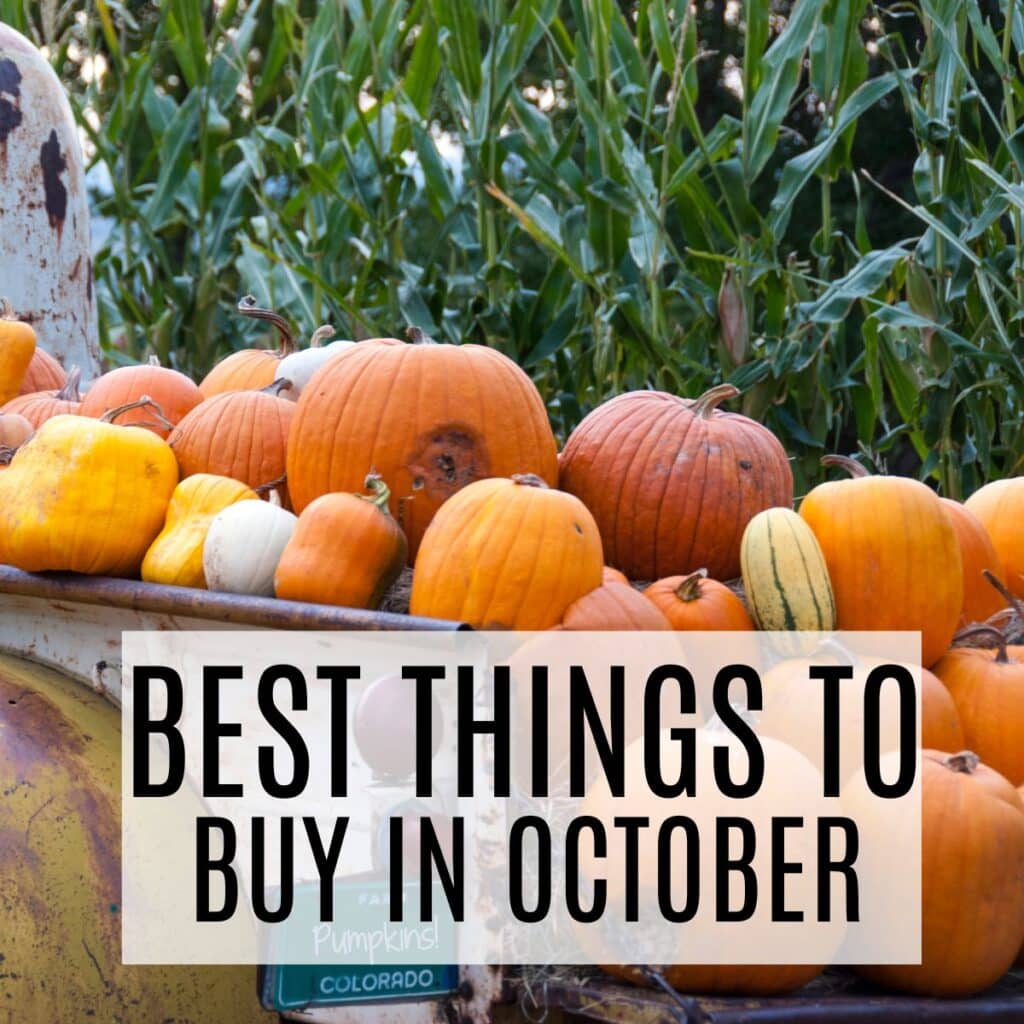 best things to buy in october