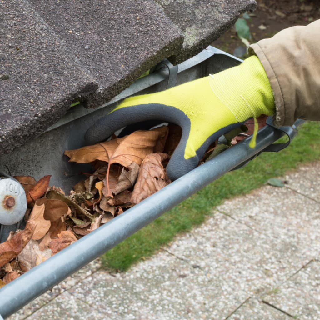 clean out gutters for winter