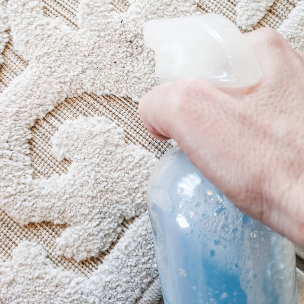 Spraying diy hydrogen peroized carpet stain remover on rugs