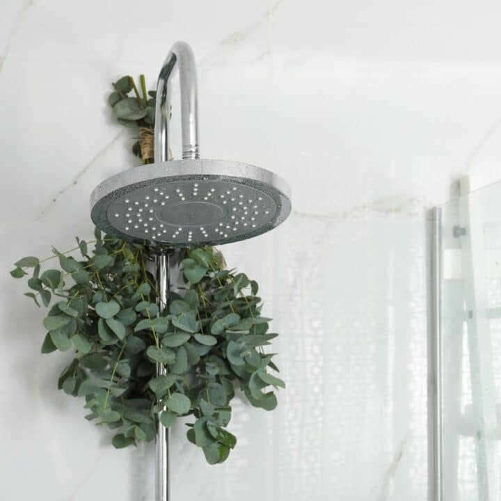 Eucalyptus in the shower to make your home smell great