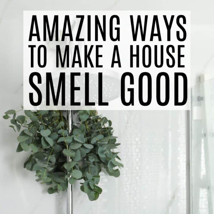 Eucalyptus in the shower with the words amazing ways to make your house smell good