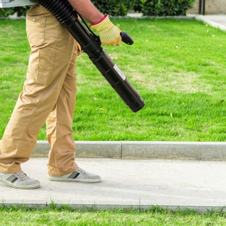 leaf blower on concrete patio